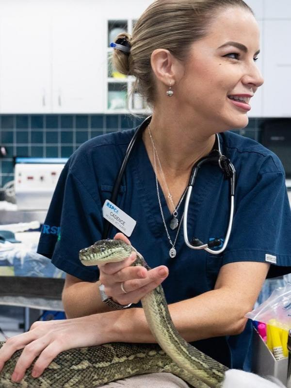 Australie : urgences faune sauvage