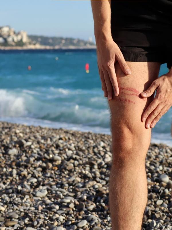 Les trésors de l'océan