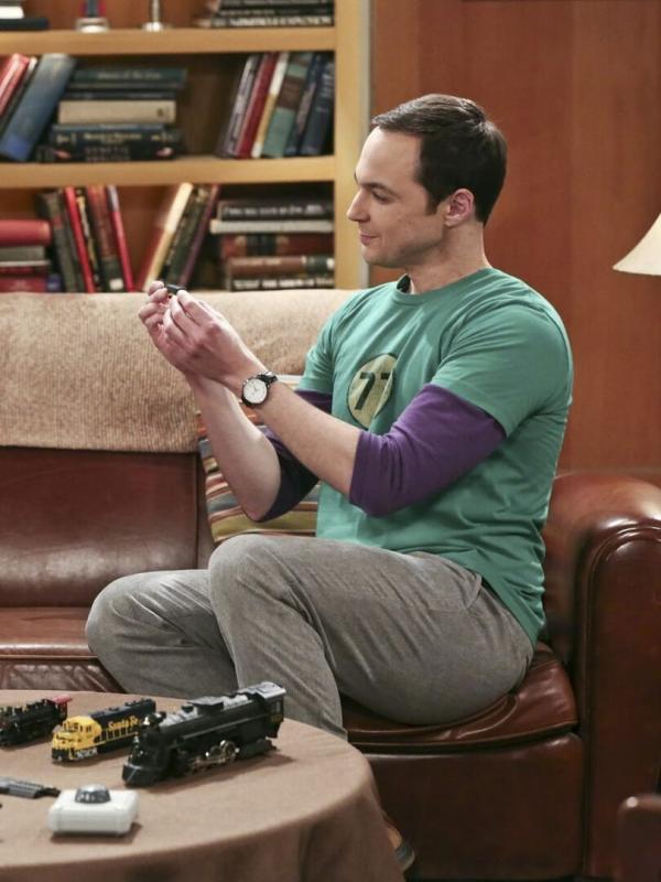 The Big Bang Theory S9 E22