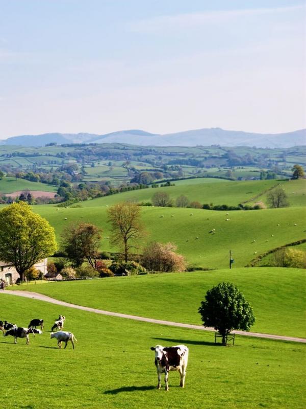 Celebrity Escape To the Country