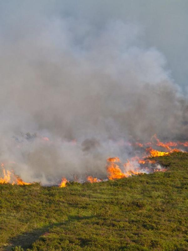 La nature se déchaîne