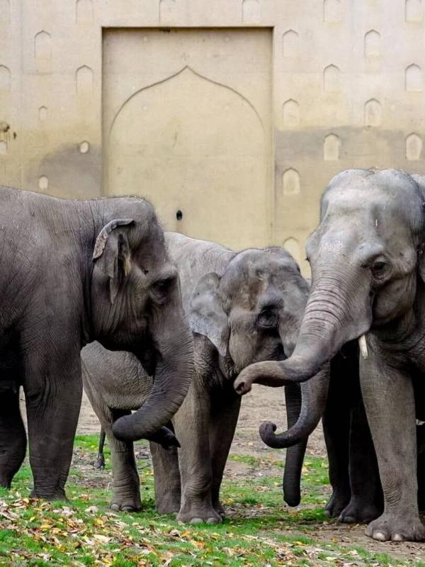 Het echte leven in de ZOO