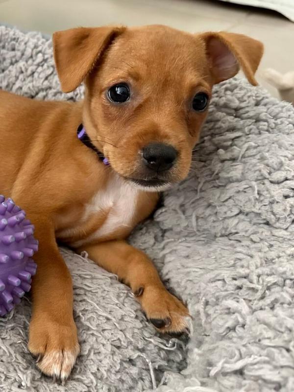 Une famille pour la vie