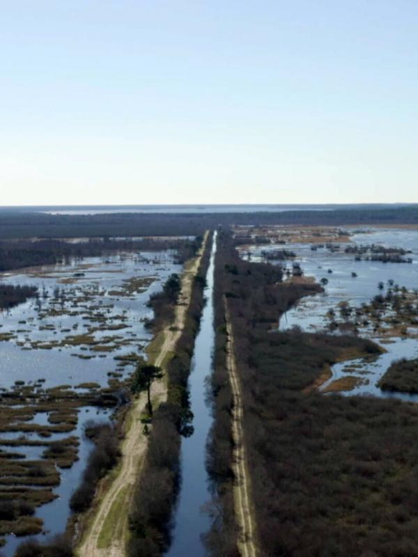 Le canal des étangs