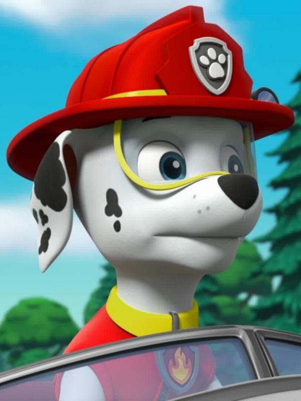 Paw Patrol S6 E20