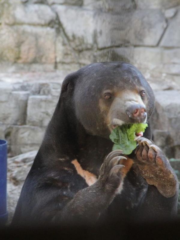 Au coeur du zoo : Tampa