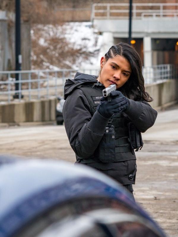 Chicago Police Department S7 E18