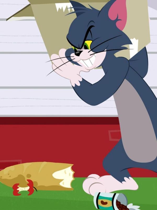 Tom et Jerry Show S1 E29