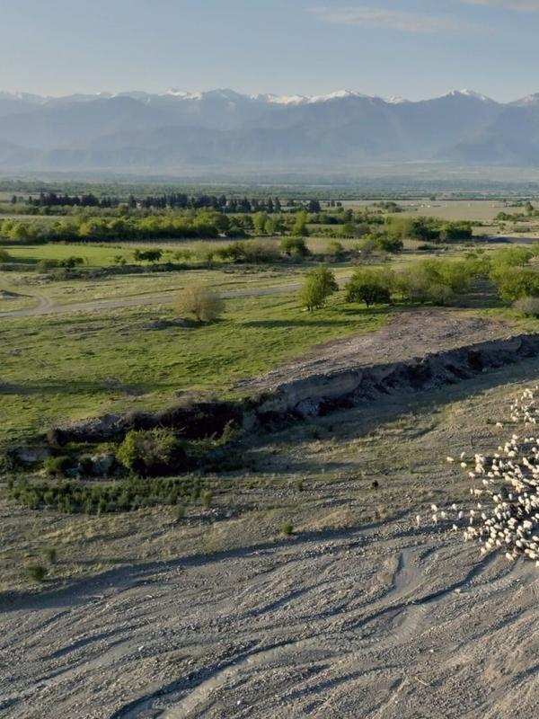 Les bergers du Caucase, la passion d'un moine