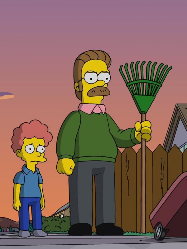 Les Simpson S31 E9