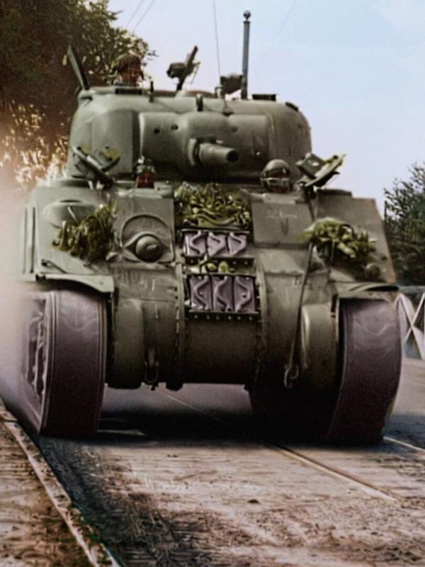 Libération : De la Normandie à Berlin