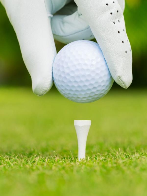 Golf : Open de Houston