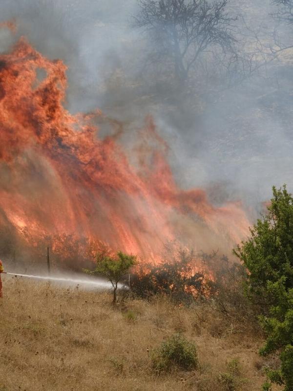Sicile : à qui profitent les incendies ?