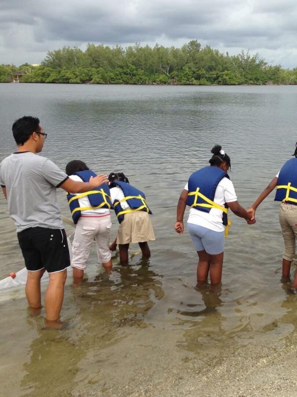 Les rois des aquariums