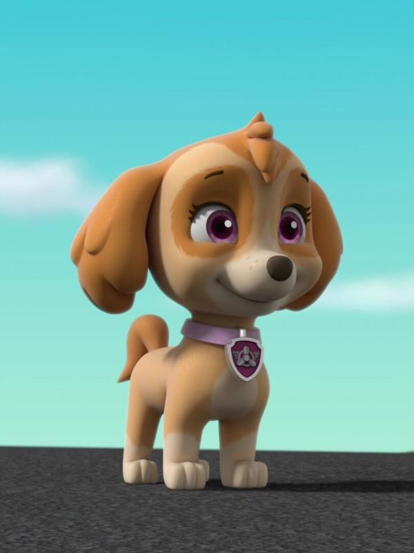 Paw Patrol S8 E13