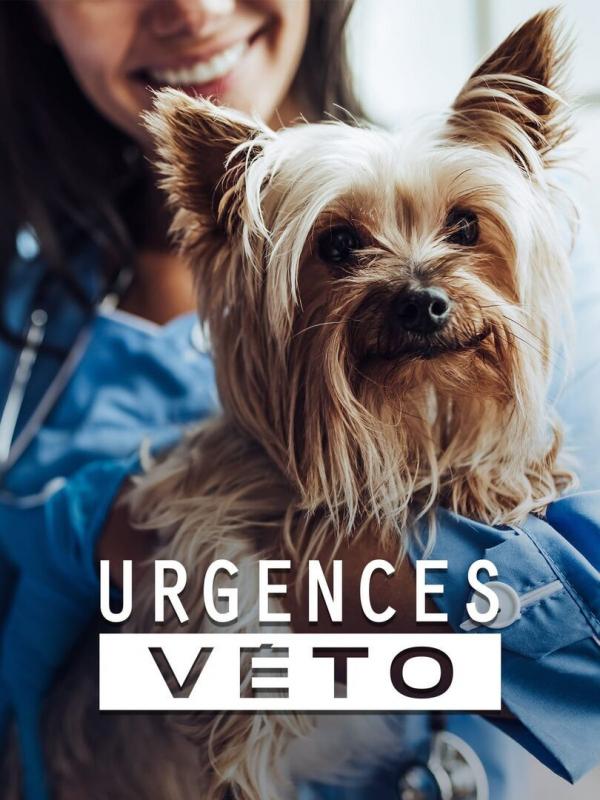 Urgences véto
