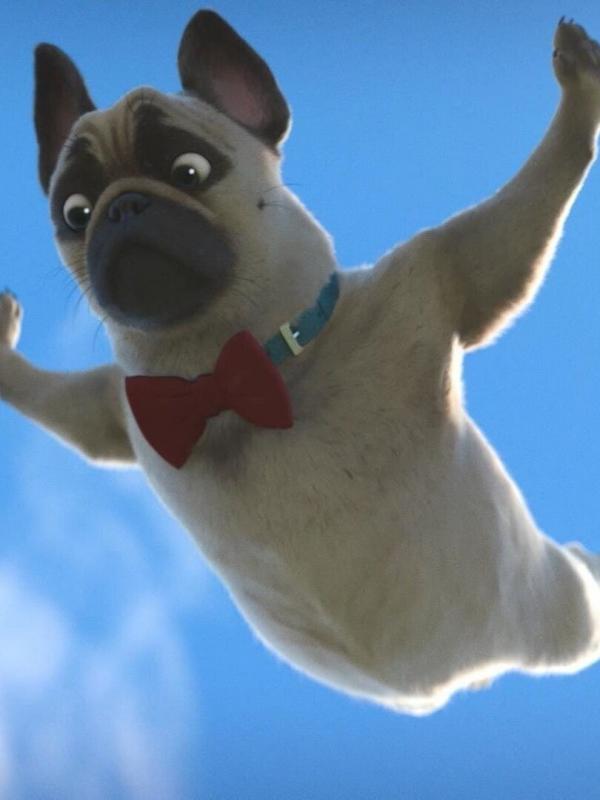 Mike, une vie de chien S1 E29