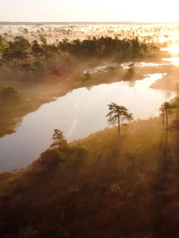 Des mains vertes pour la nature