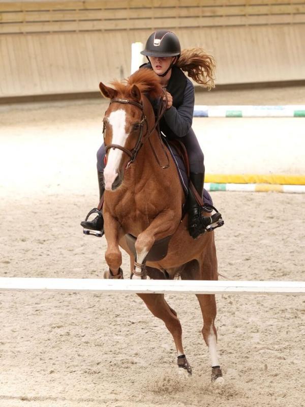 Au galop ! Une saison à cheval