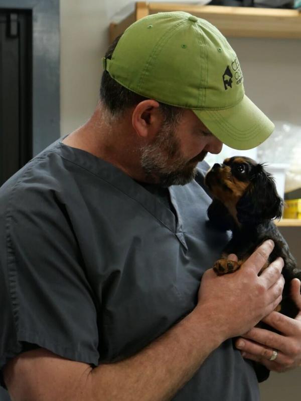 Les Vétérinaires du Midwest