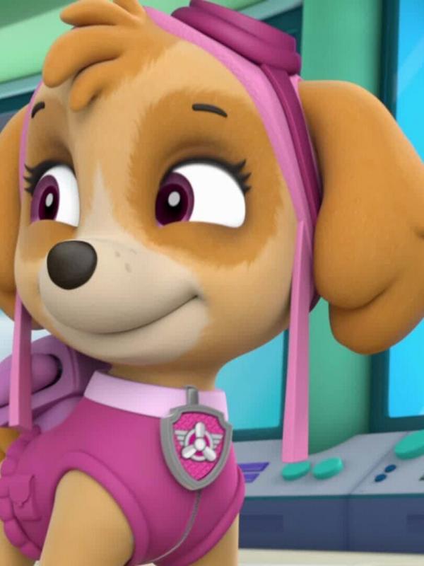 Paw Patrol S5 E5