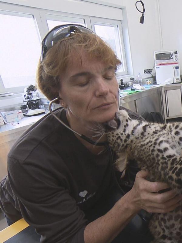 La Tanière, le zoo-refuge de l'espoir