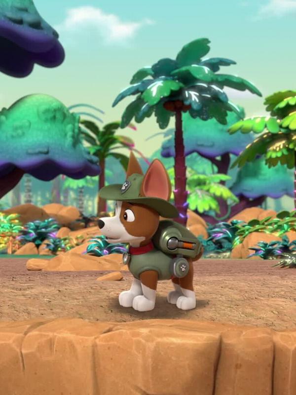 Paw Patrol, la Pat'Patrouille S10 E3