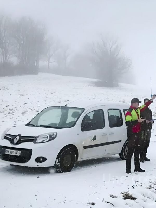 La faune sauvage sous les radars