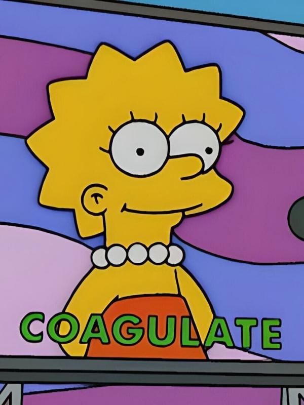 Les Simpson S14 E12