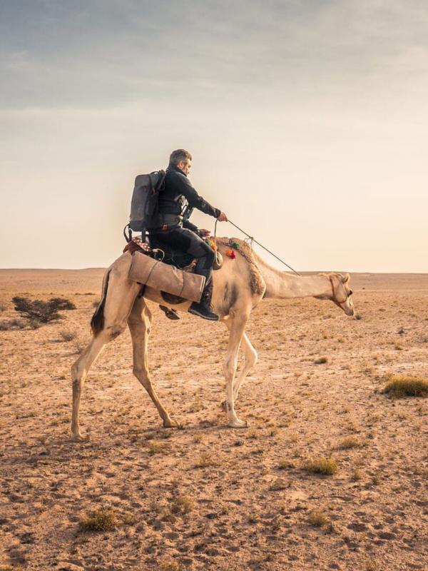 Expédition en Arabie