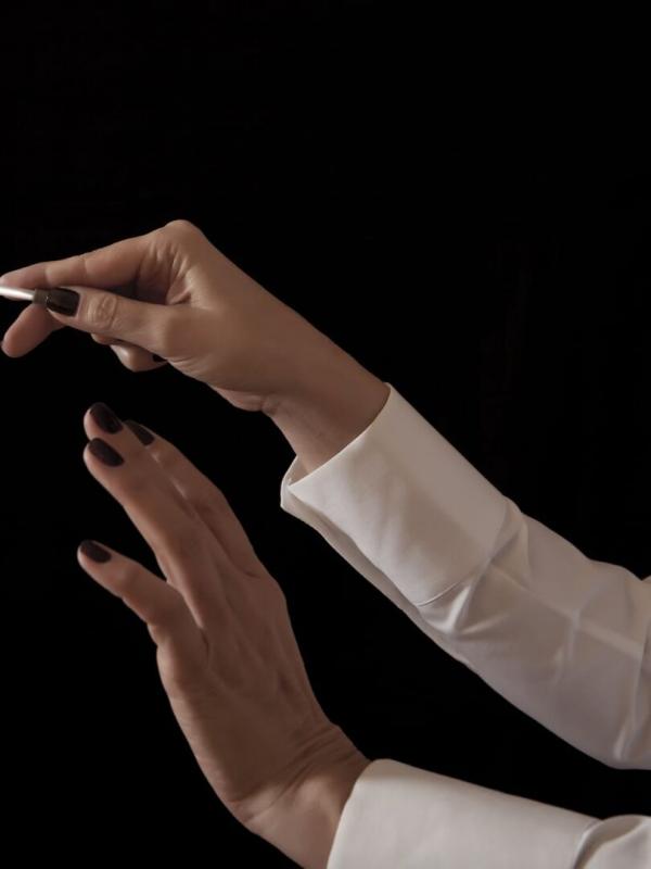 Bruckner : Symphony no. 7 - Scherzo