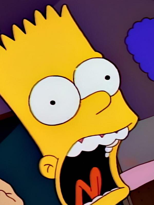 Les Simpson S4 E20