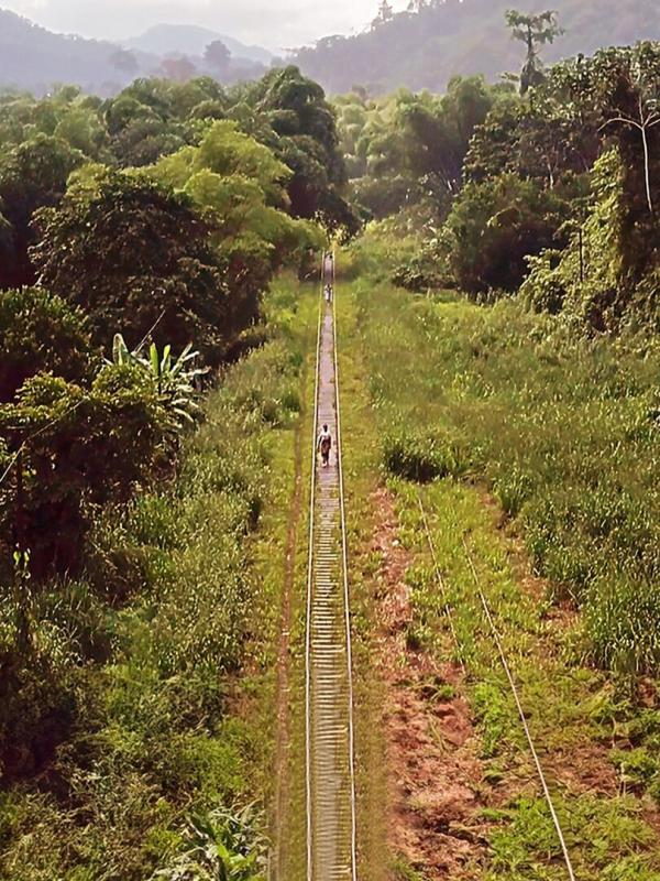 Congo-Océan : un chemin de fer et de sang