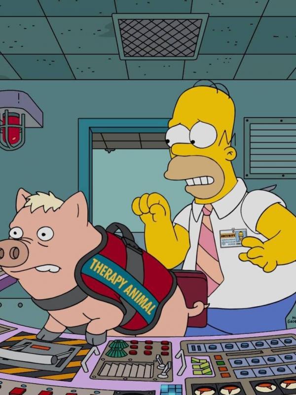 Les Simpson S28 E11