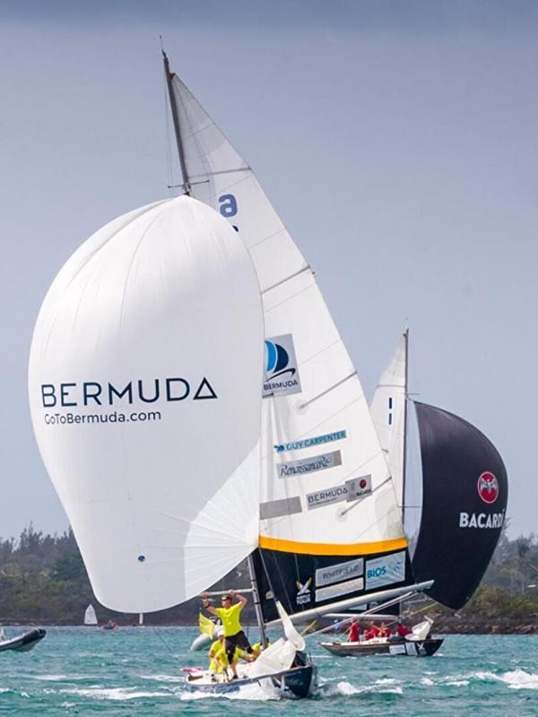 Bermuda Gold Cup