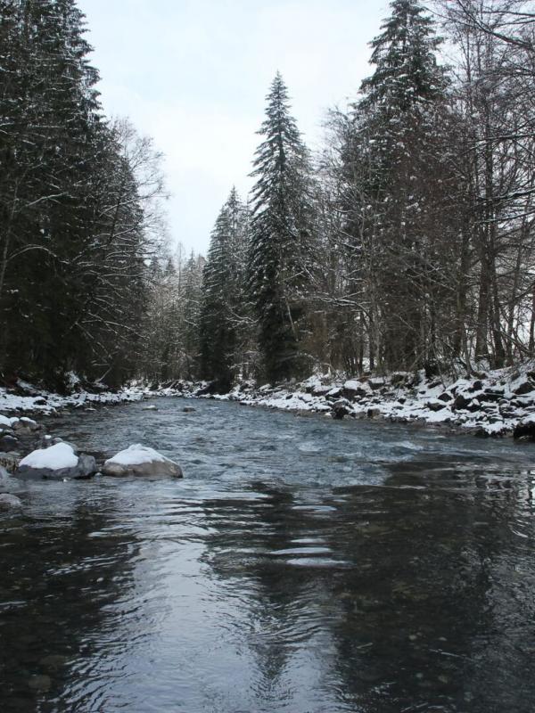 J'irai pêcher chez vous