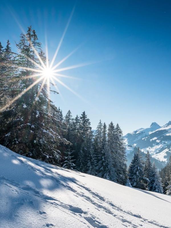 Des trains pas comme les autres