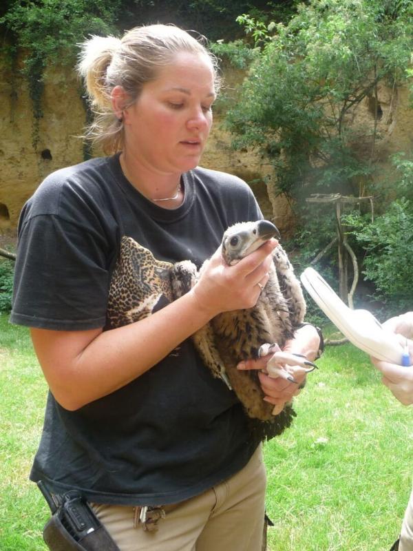 Zoo : le défi de demain