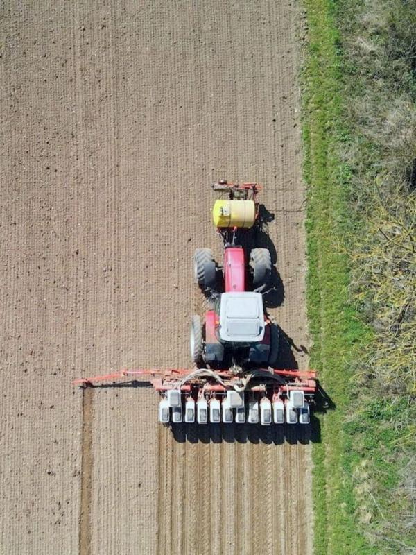 Insecticide : Comment l'agrochimie a tué les insectes