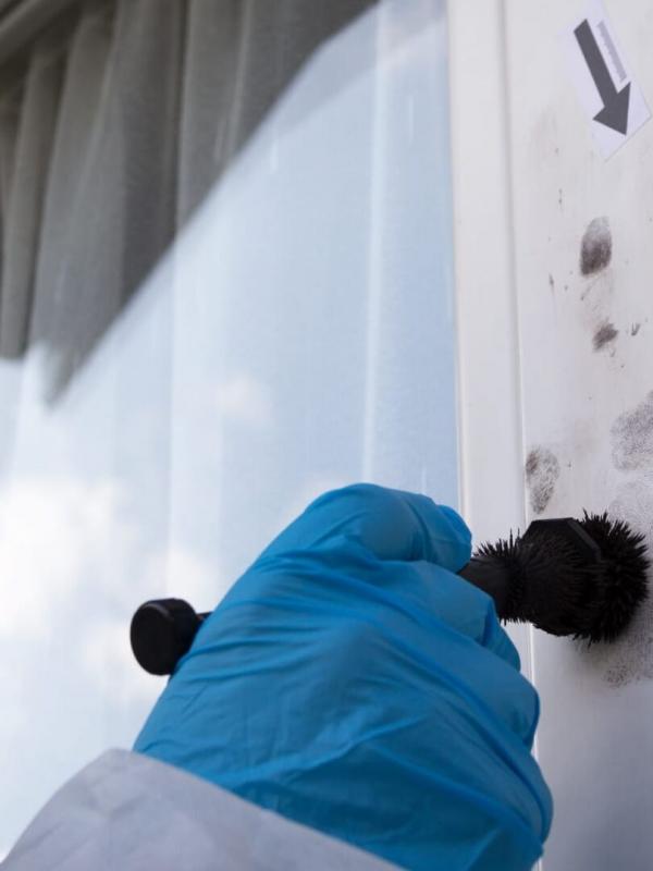 Faites entrer l'accusé