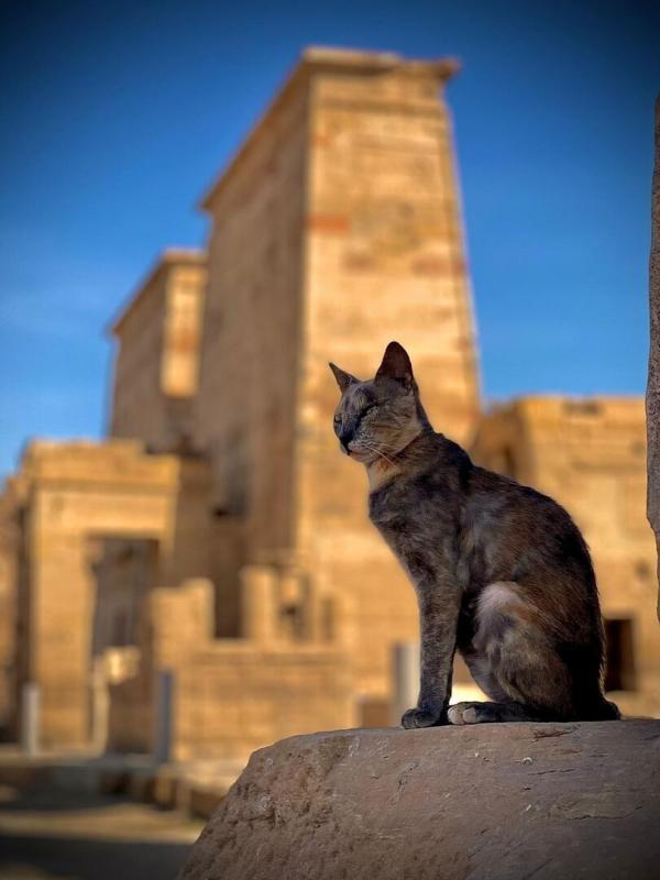 Philae, le sanctuaire englouti