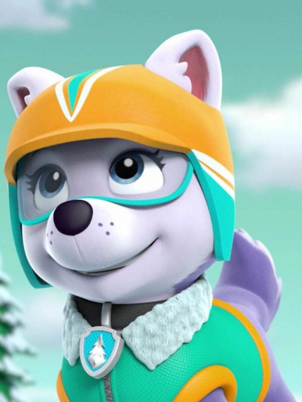 Paw Patrol S3 E16