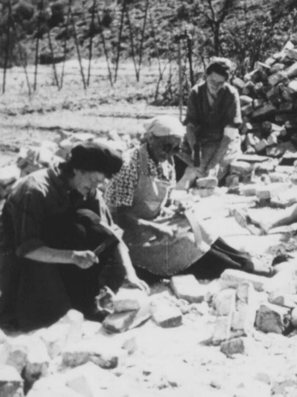 Témoins de la Libération : Trois femmes, trois pays, trois destins