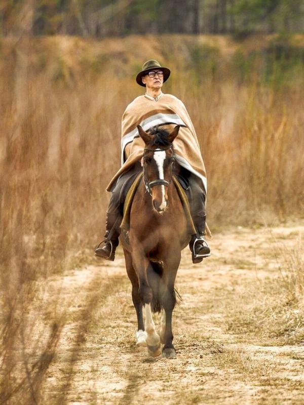 L'ascension des nazis : le front de l'Est