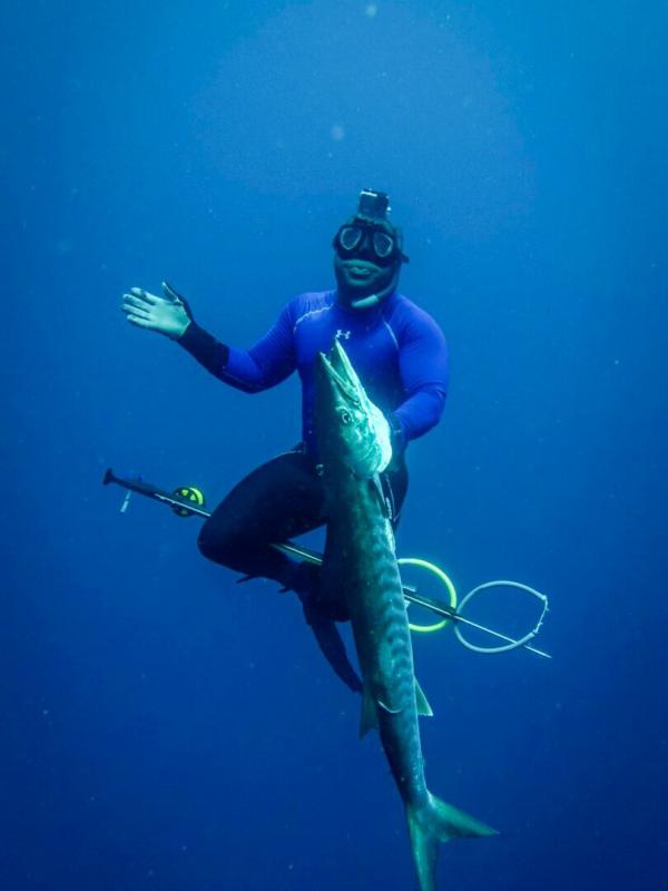 Barracudas géants du Bénin