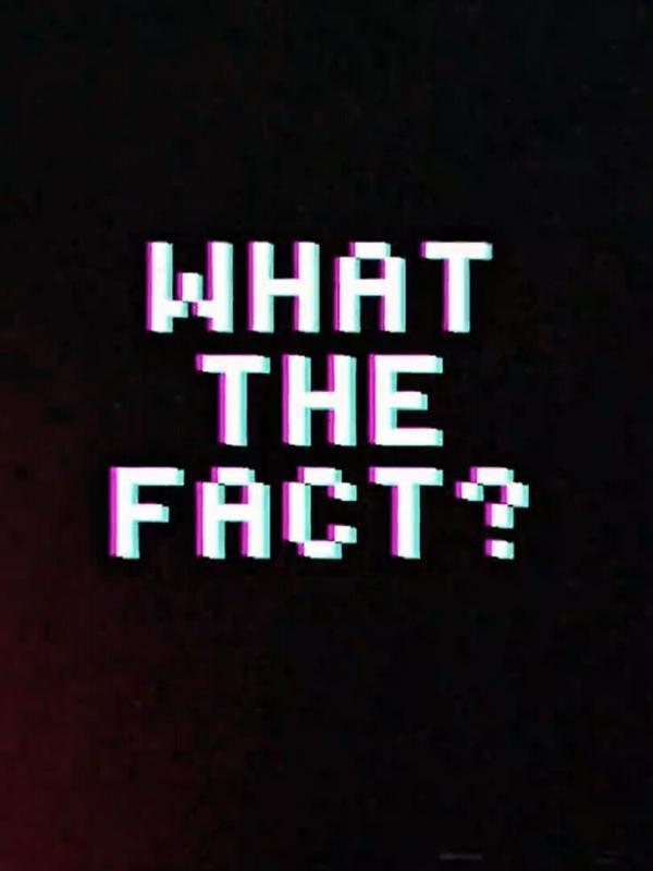 What the fact ?