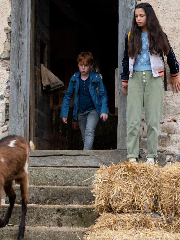 Tiere bis unters Dach S10 E4