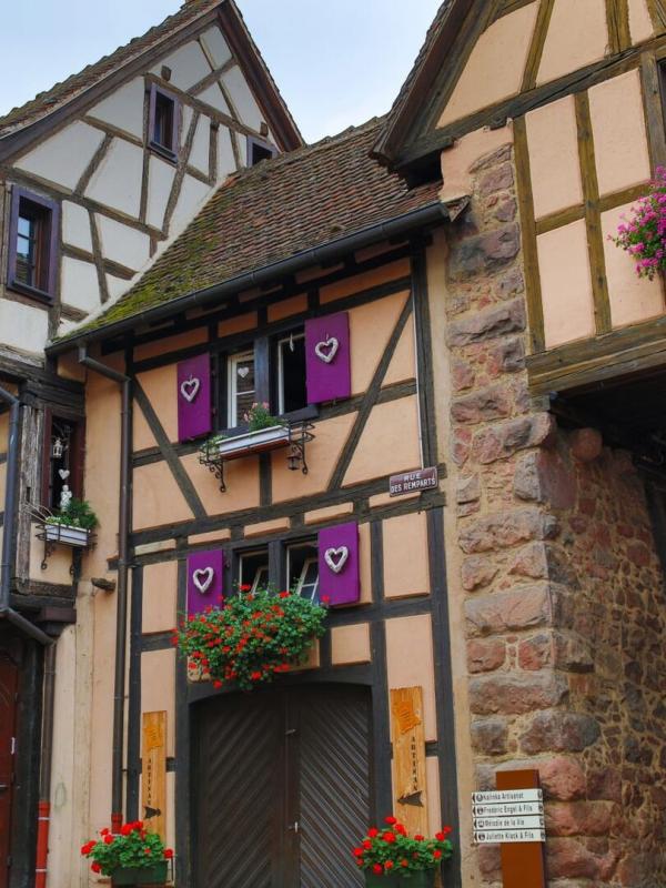 Pays et marchés du monde