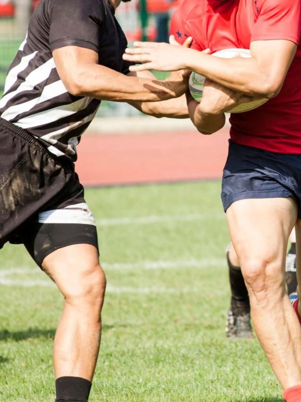 Blues / Queensland Reds