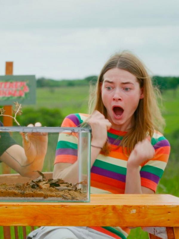 Steken en Prikken in Zuid-Afrika